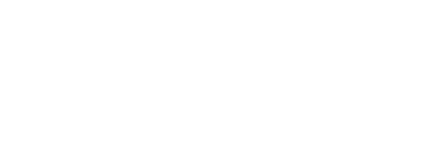 Sinelec